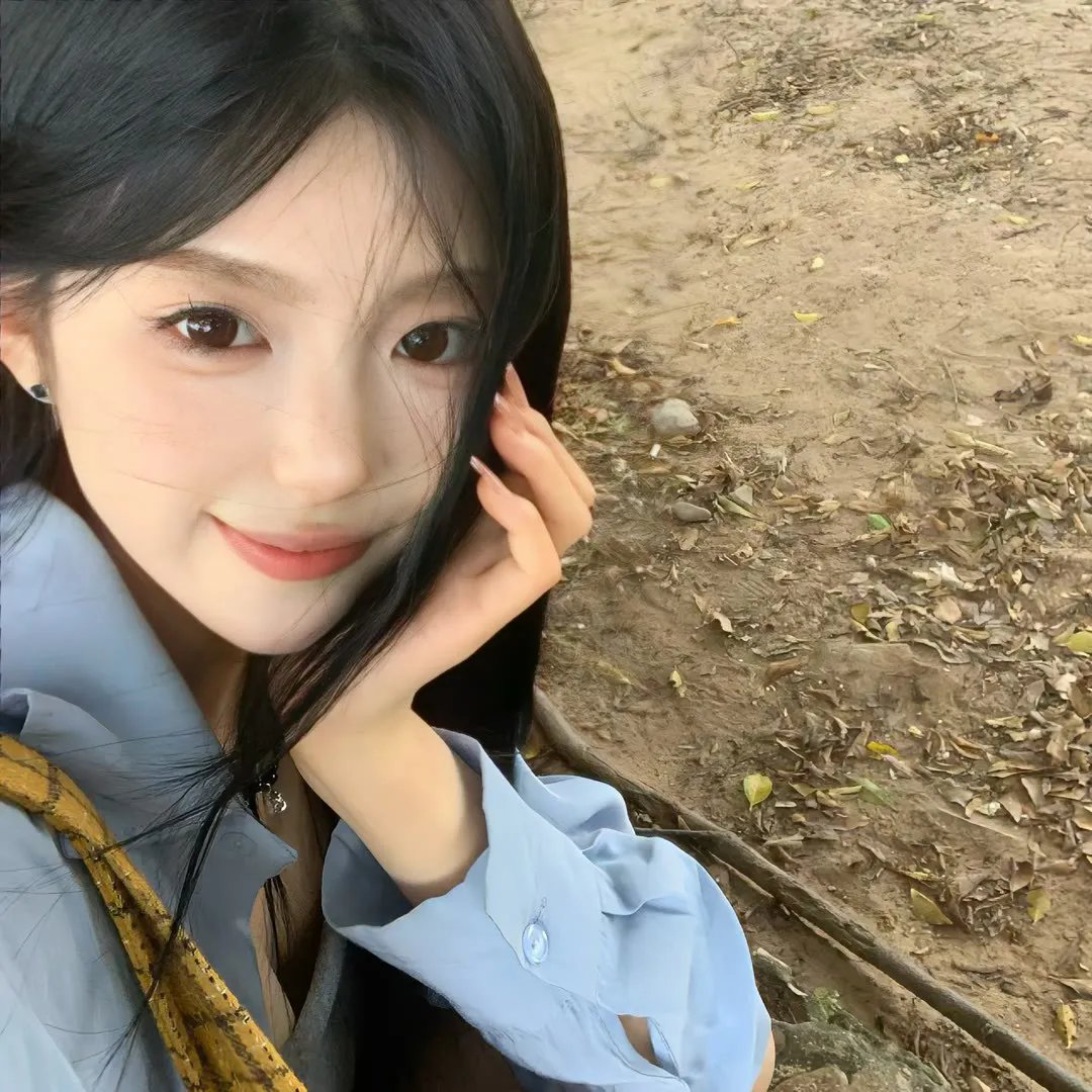 101朵玫瑰